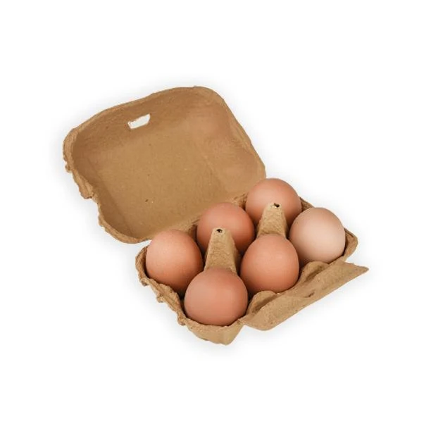 12x Huevos ECO Planeta Huerto con Tecnologí de Larga Duración