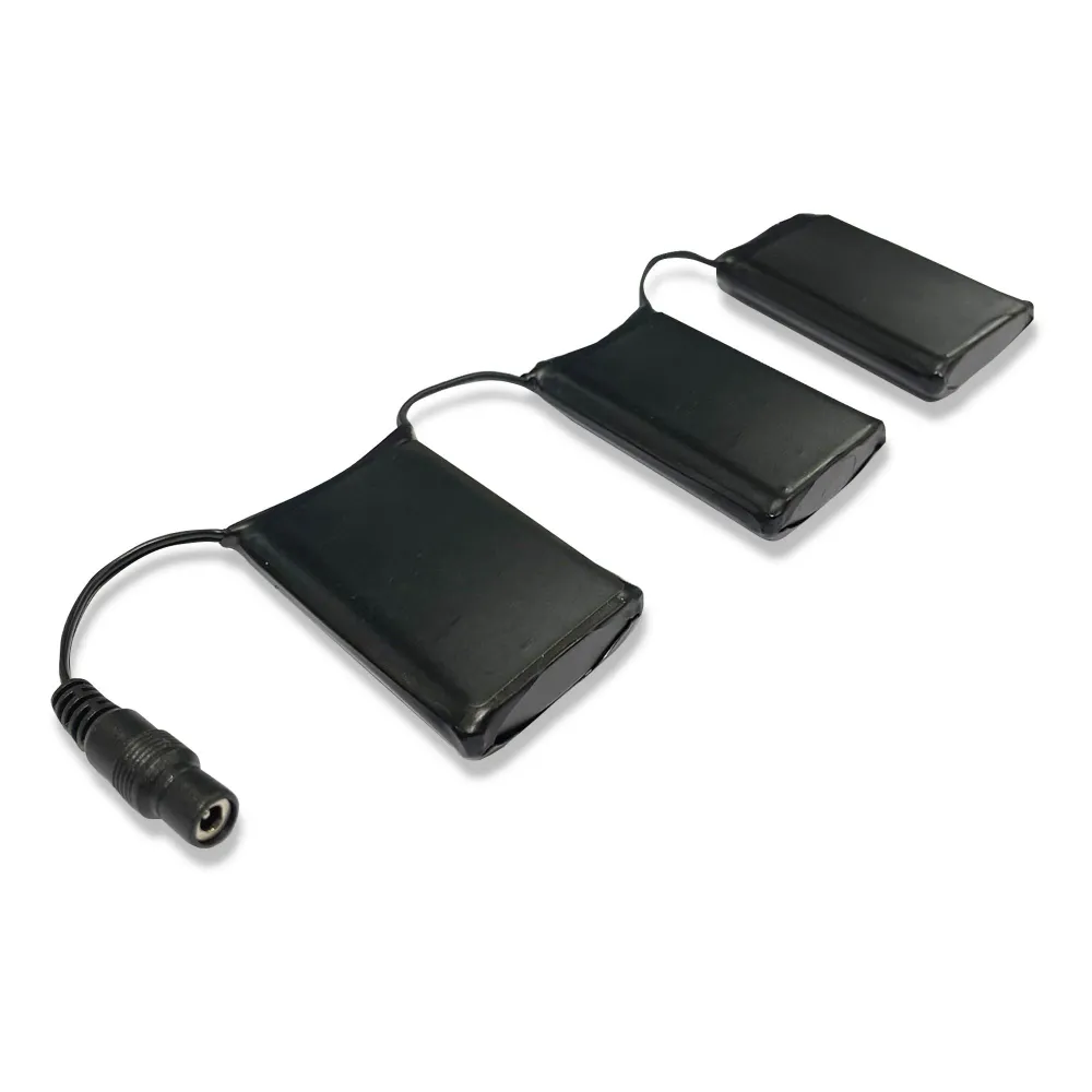 BATERÌ GUANTE 12V/3000 mAh para Dispositivos de Alto Consumo