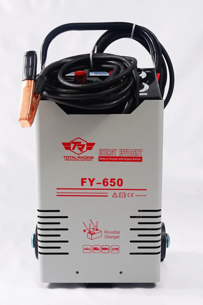 Baterías Recargables CARGADOR DE BATERIAS 12/24 V 250 AMP 250 V