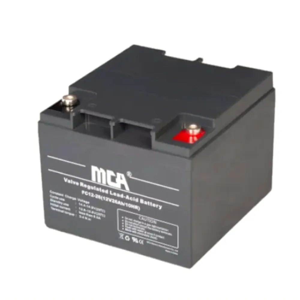 Cargador Inteligente Baterí Gel Ciclo Profundo MCA 12V 26AH para Uso Diverso