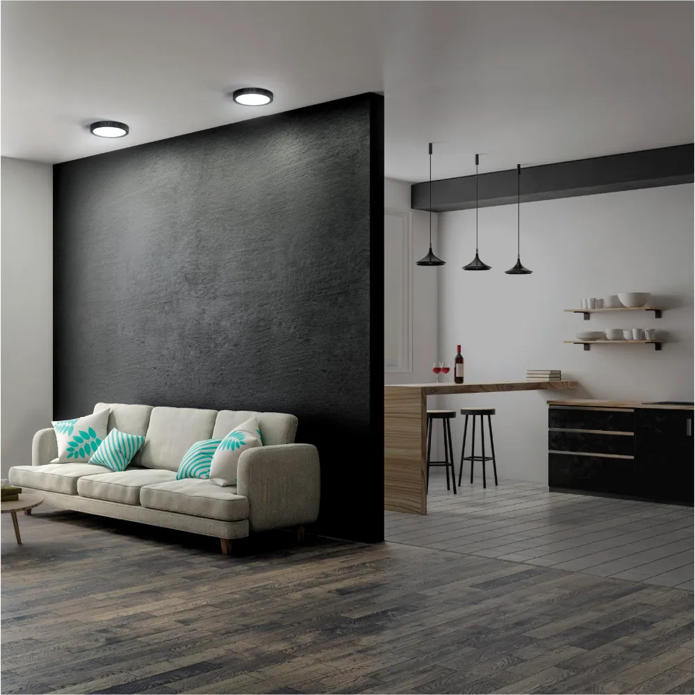 Luminario de LED 12 W redondo tipo plafón luz de dí, negro para Dispositivos de Alto Consumo