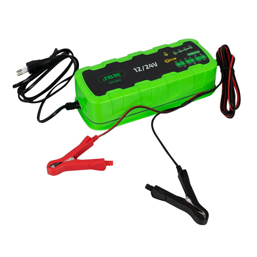 Pilas Alcalinas CARGADOR DE BATERÍ 12/24V