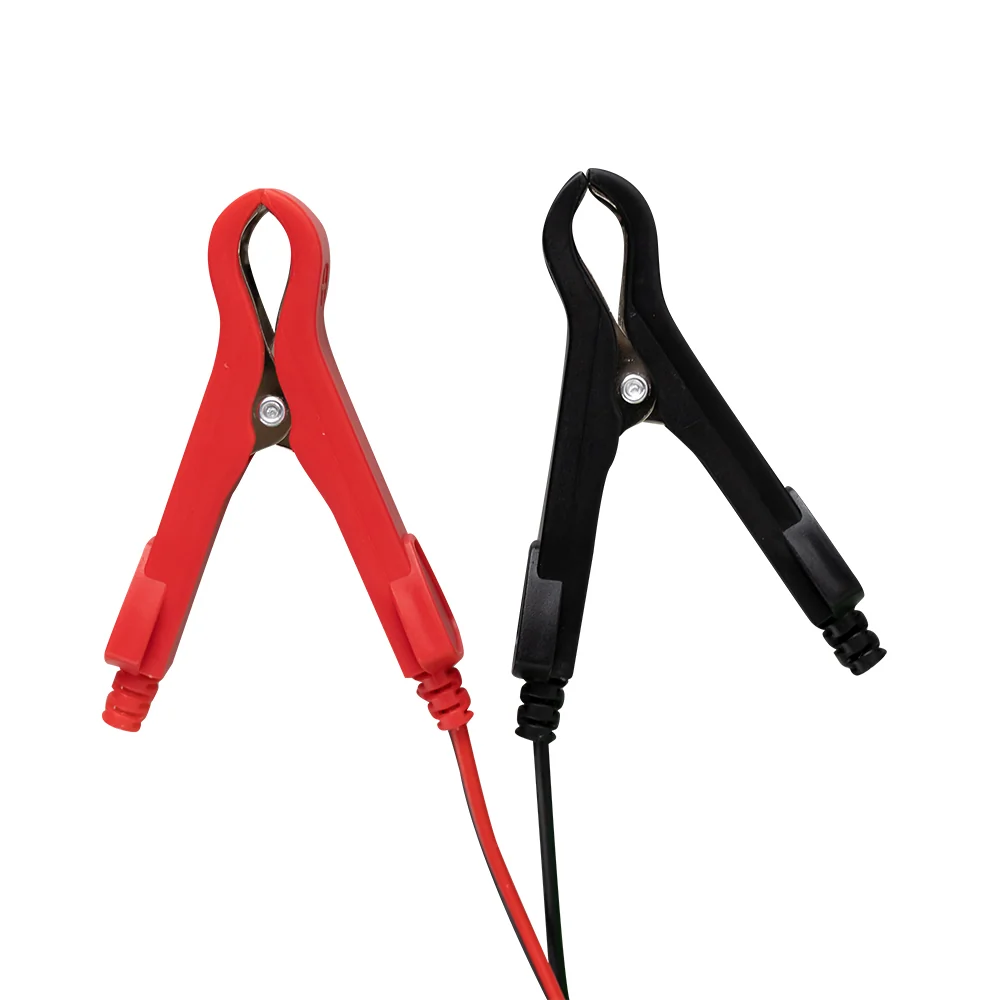 Pilas Alcalinas CARGADOR DE BATERÍ 12/24V
