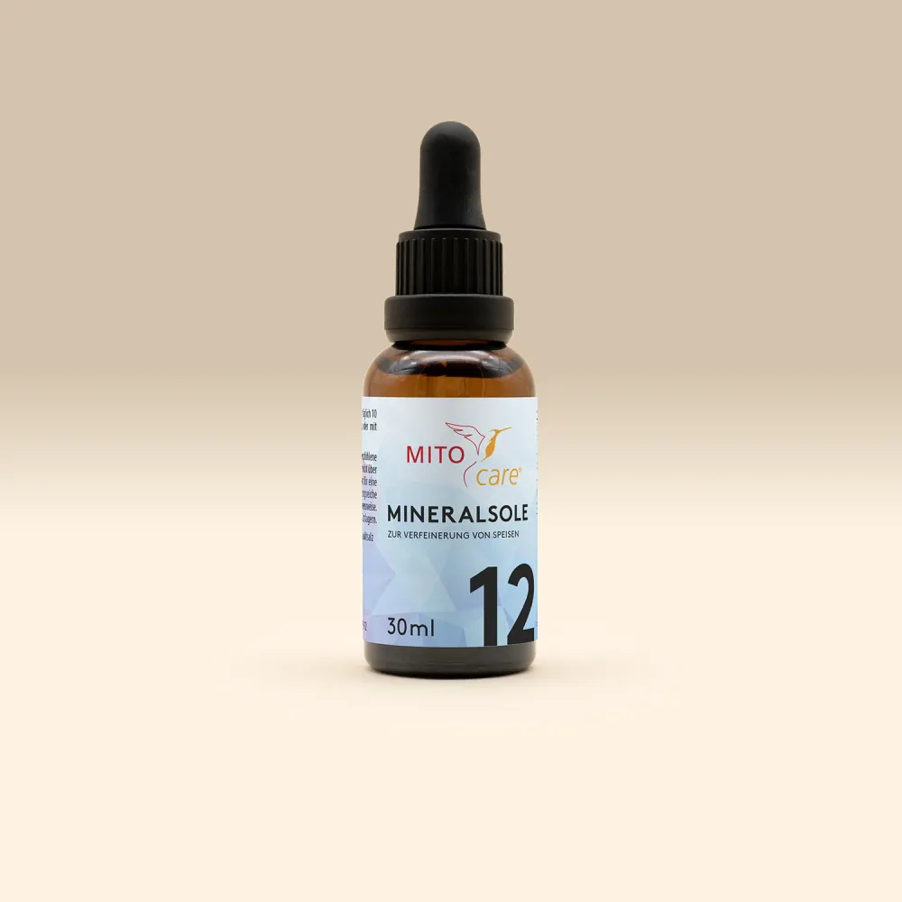 Pilas Alcalinas Mineralsole 12