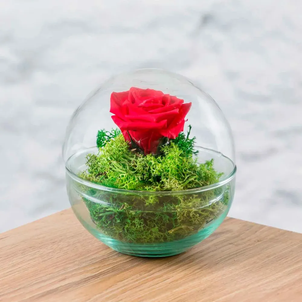 Rosa Eterna Cupula Cristal (12x12 Cm). con Certificación RoHS
