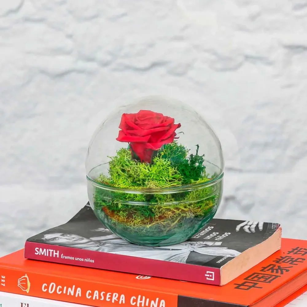 Rosa Eterna Cupula Cristal (12x12 Cm). con Certificación RoHS