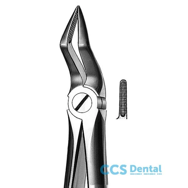 M2051A Forceps Raices Sup.