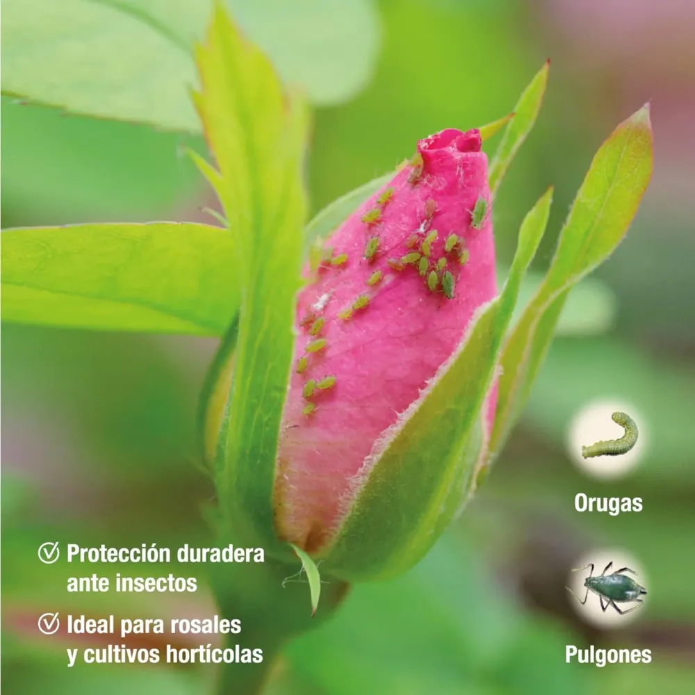 Ultra Resistente para Interiores Protect Garden - Insecticida Polivalente AL pulgones y orugas 750 ml