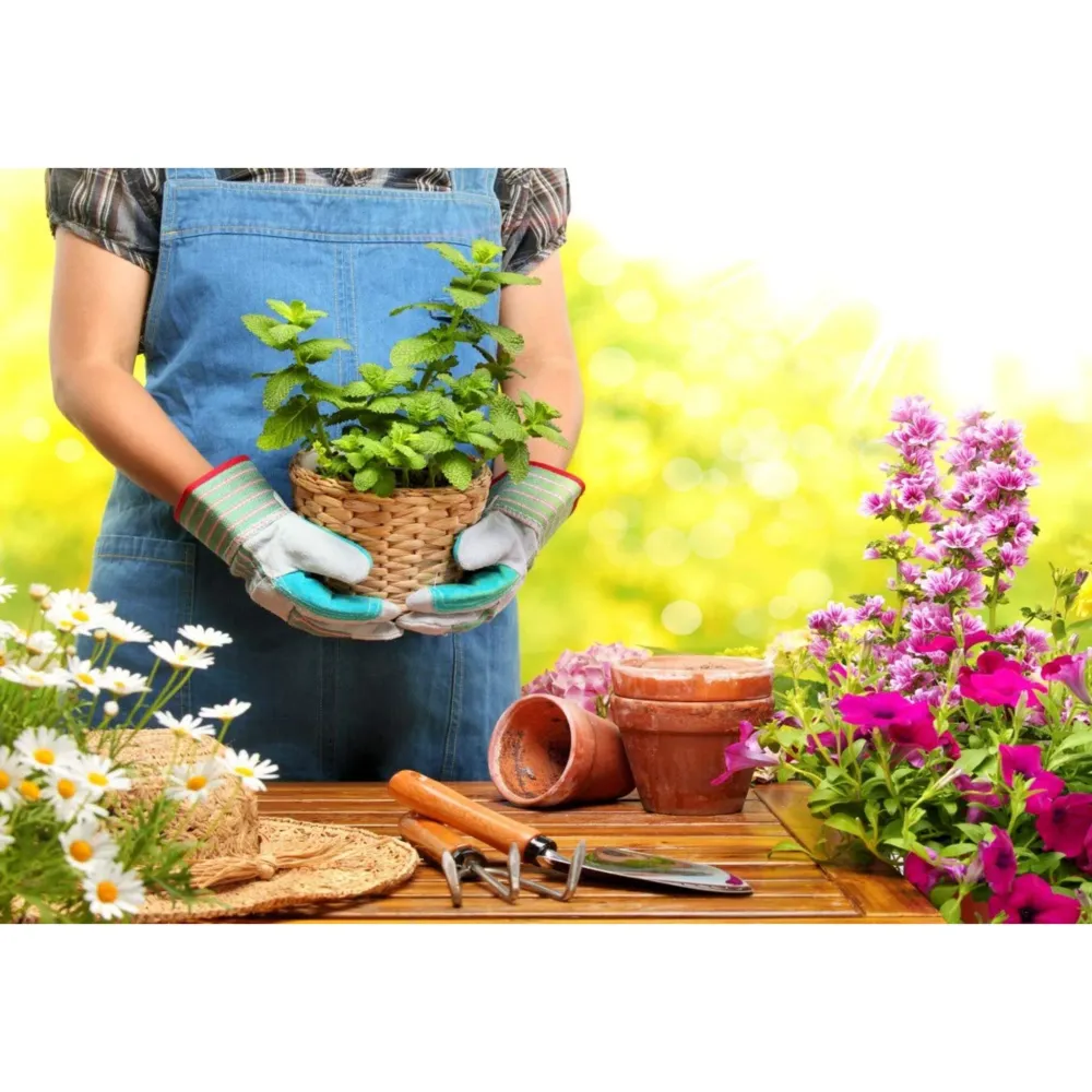 Ultra Resistente para Interiores Protect Garden - Insecticida Polivalente AL pulgones y orugas 750 ml