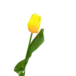 Rosa Rama Amarilla Peypa 60cm 3-1-1B