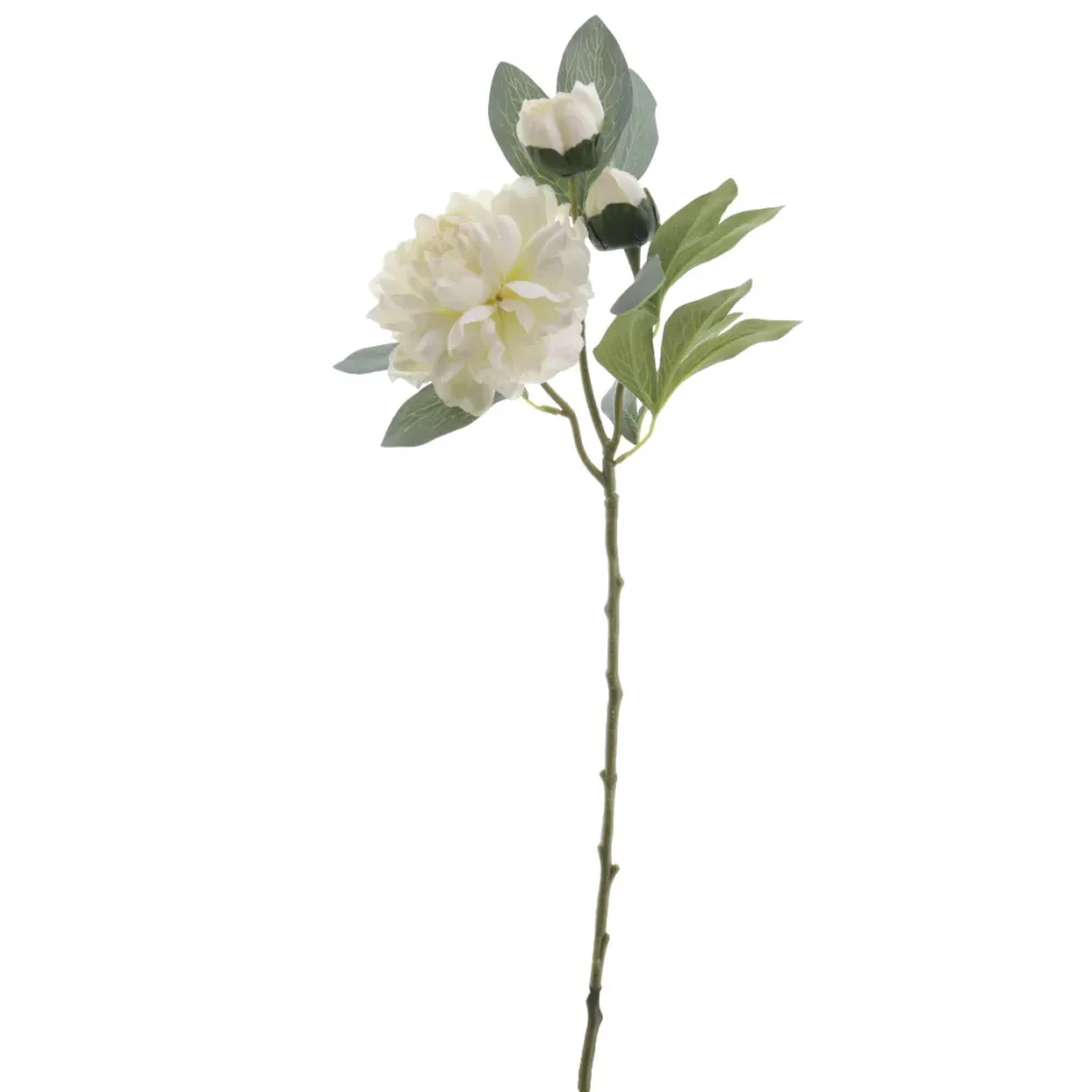 Rama Peonia Crema 64cm 3A-02-B