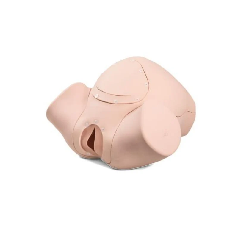 Simulador de parto BASIC P90B new 3B Scientific