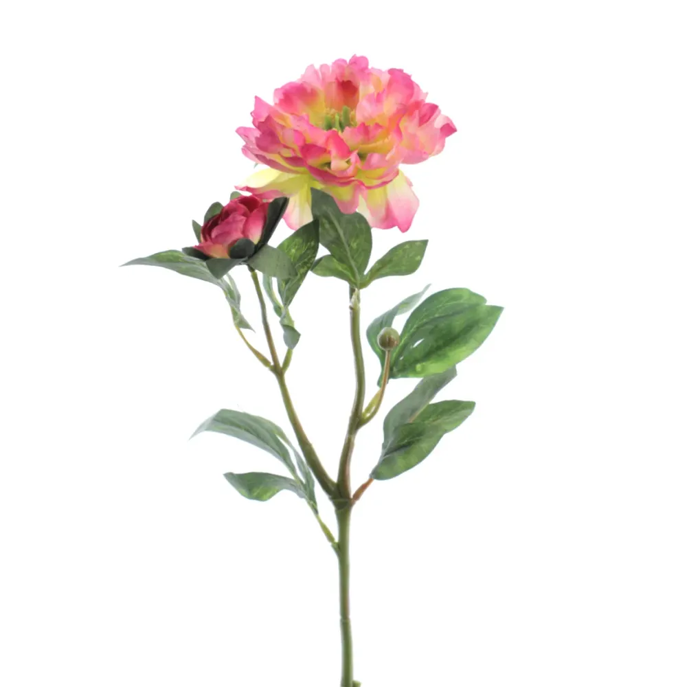 Rama Peonia Fucsia 3G-04