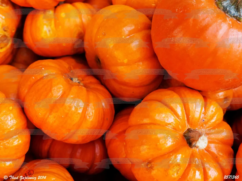 Calabazas Feliz Halloween Cosecha de otoño Imagen comestible para decoración de tarta ABPID52522 A Birthday Place