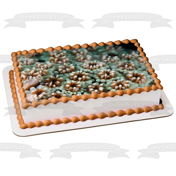 Decoración comestible para tarta con paisaje de coral y vida oceánica, imagen ABPID52520 A Birthday Place