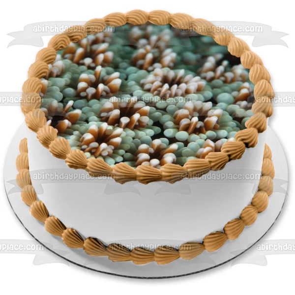 Decoración comestible para tarta con paisaje de coral y vida oceánica, imagen ABPID52520 A Birthday Place