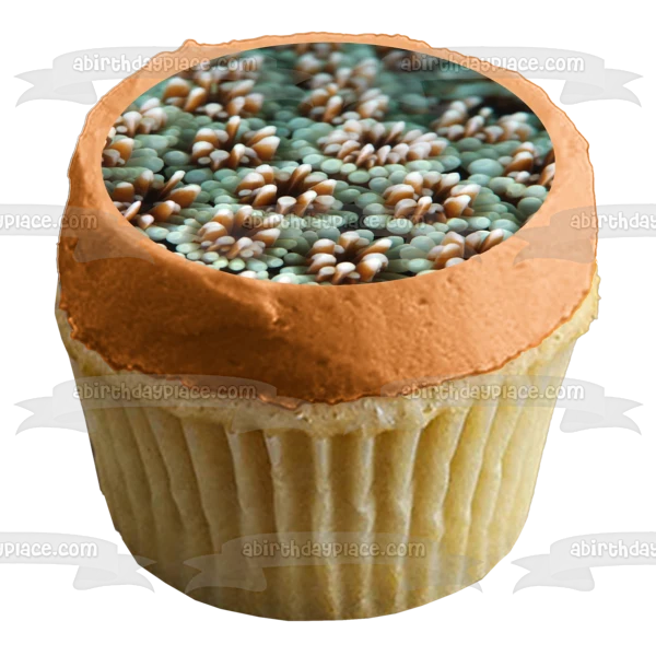 Decoración comestible para tarta con paisaje de coral y vida oceánica, imagen ABPID52520 A Birthday Place