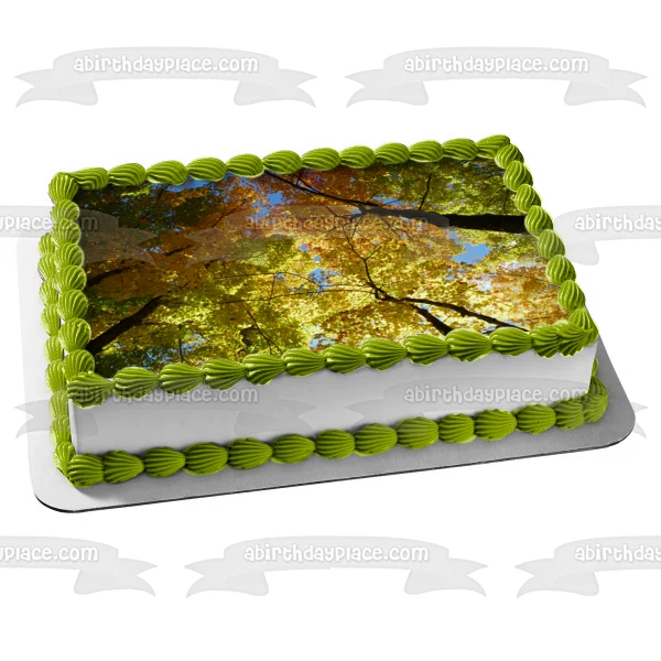 Imagen de decoración comestible para tarta con hojas coloridas de árboles otoñales ABPID52605 A Birthday Place