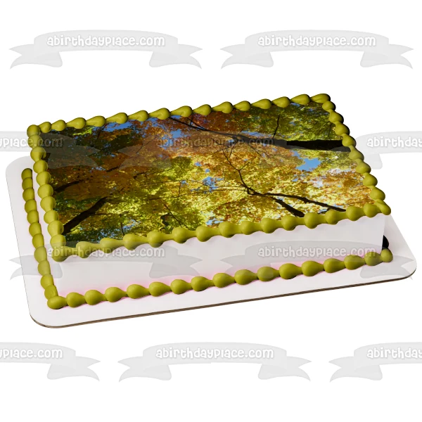Imagen de decoración comestible para tarta con hojas coloridas de árboles otoñales ABPID52605 A Birthday Place