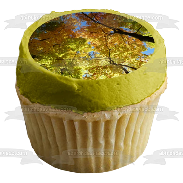 Imagen de decoración comestible para tarta con hojas coloridas de árboles otoñales ABPID52605 A Birthday Place