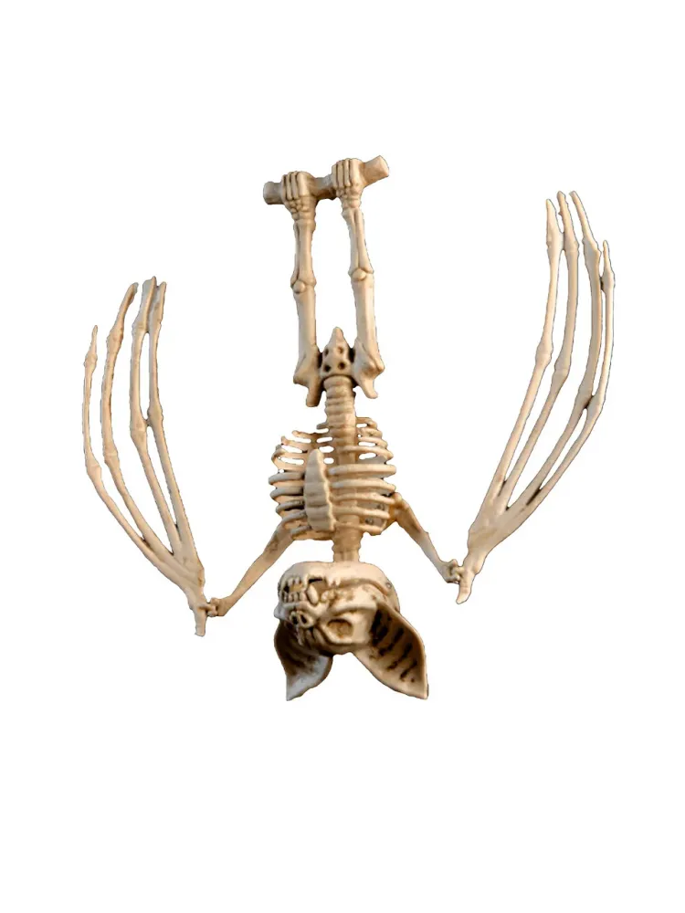 Adorno Halloween Esqueleto Murcielago 1 Unidad