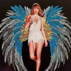 BORDADO TAYLOR SWIFT / ALE RIERA