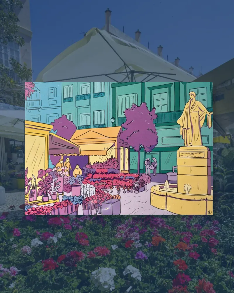 Lámina Plaza de las flores de Cádiz Alexis Visualinotion