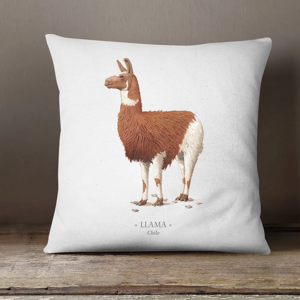 Funda cojín Llama- Fauna Chilena Andes1