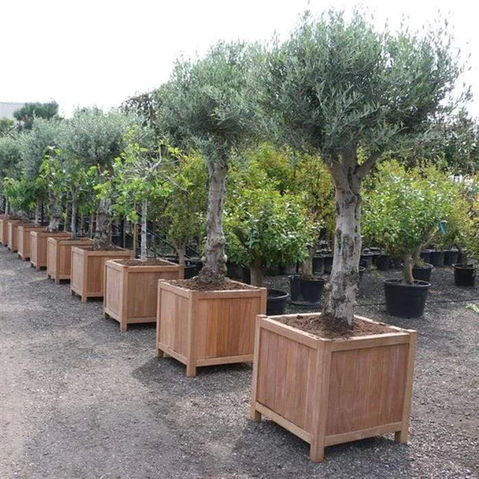 Jardinera en madera exótica - Valencia 0.6m x 0.6m x 0.6m Aquigarden