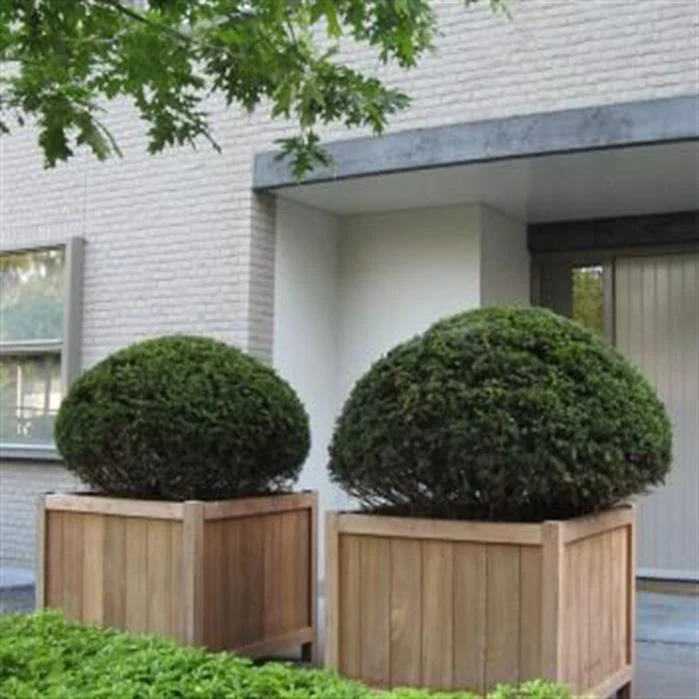 Jardinera en madera exótica - Valencia 0.6m x 0.6m x 0.6m Aquigarden