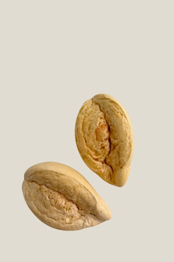 Mollete de pan réplica de cerámica esmaltada Armando Rueda