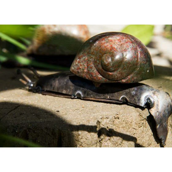 Caracol subiendo - Animal decorativo en metal reciclado Arrosoir & Persil