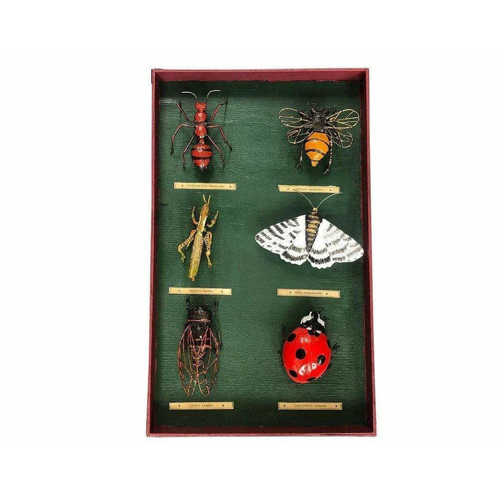 Cuadro de entomólogo insectos - Insecto decorativo en metal reciclado Arrosoir & Persil