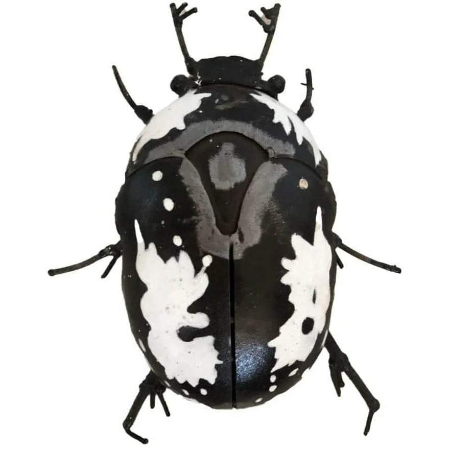 Escarabajo Bébète plata - Insecto decorativo en metal reciclado Arrosoir & Persil