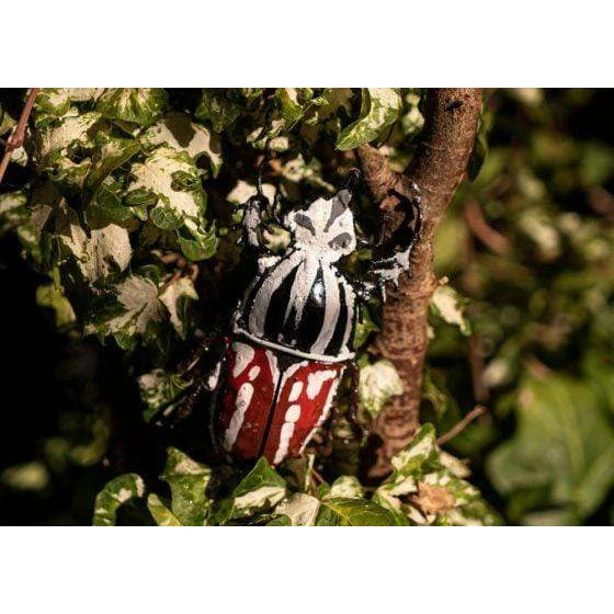 Escarabajo Goliat - Insecto decorativo en metal reciclado Arrosoir & Persil
