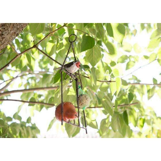 Jilguero elegante – comedero de grasa modelo casa - Accesorio decorativo para pájaros Arrosoir & Persil