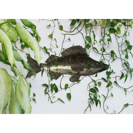 Percha - Pez decorativo en metal reciclado Arrosoir & Persil