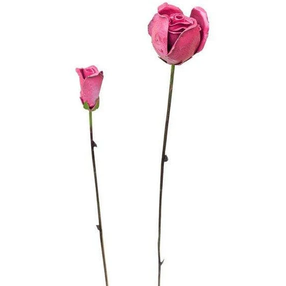 Rosa y su botón - Vegetal decorativo en metal reciclado Arrosoir & Persil