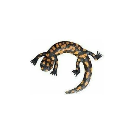 Salamandra - Animal decorativo en metal reciclado Arrosoir & Persil