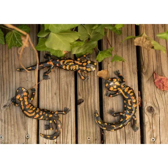 Salamandra - Animal decorativo en metal reciclado Arrosoir & Persil