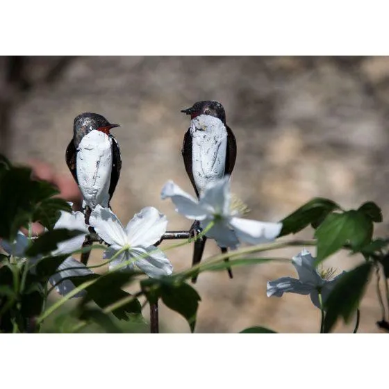 Tutor 2 Golondrinas - Pájaro decorativo en metal reciclado Arrosoir & Persil