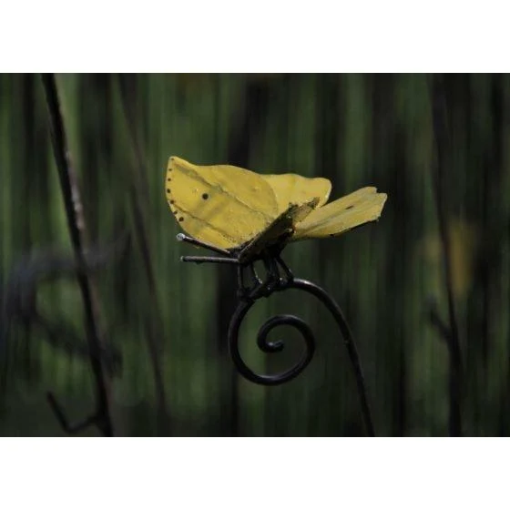 Tutor Mariposa amarilla - Pájaro decorativo en metal reciclado Arrosoir & Persil