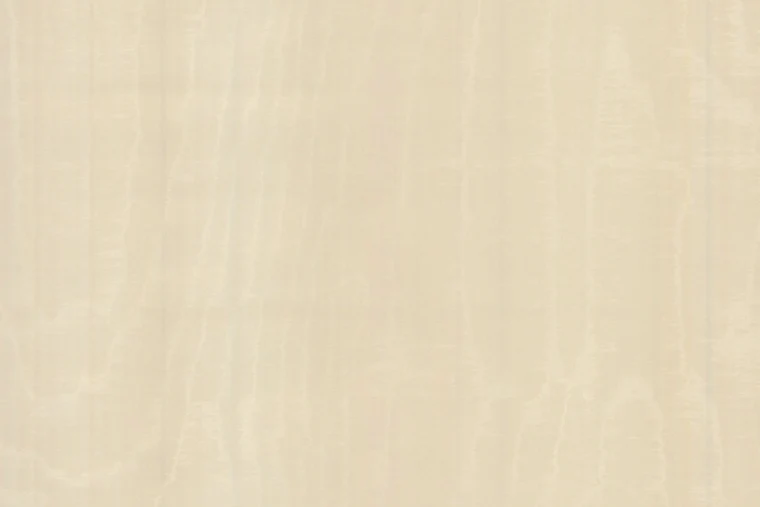 Illusion - 99000 ARTE