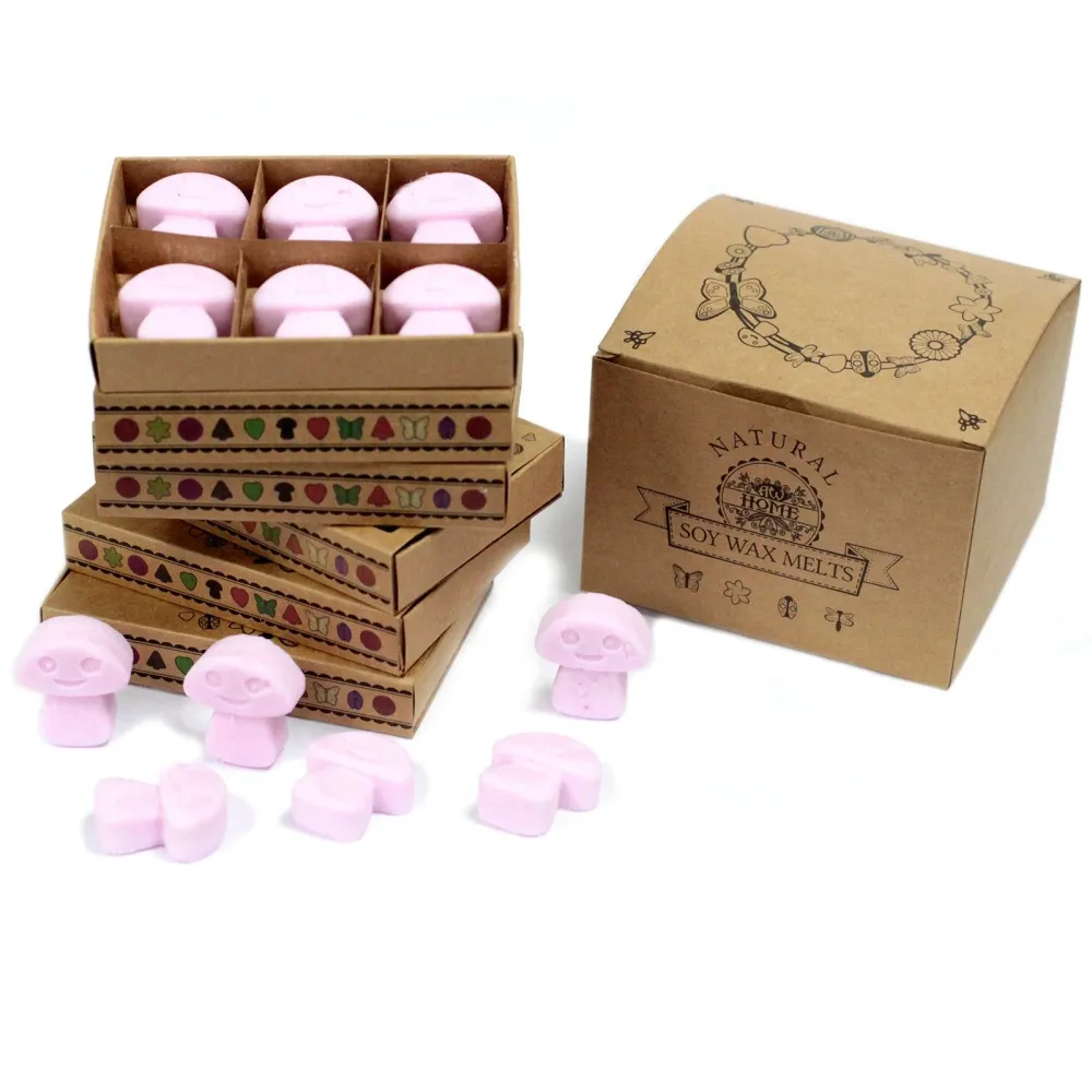 Ceras de soja Ylang Ylang | Caja de 6 para quemador AWArtisan Dropship