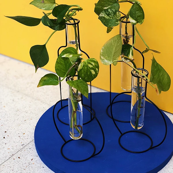 Estación de propagación botánica: florero Silueta redondo Balvi