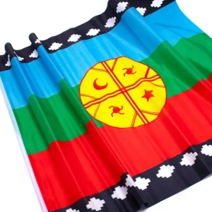 Bandera Mapuche Palito 90 X 60 Cm 12 Unidades