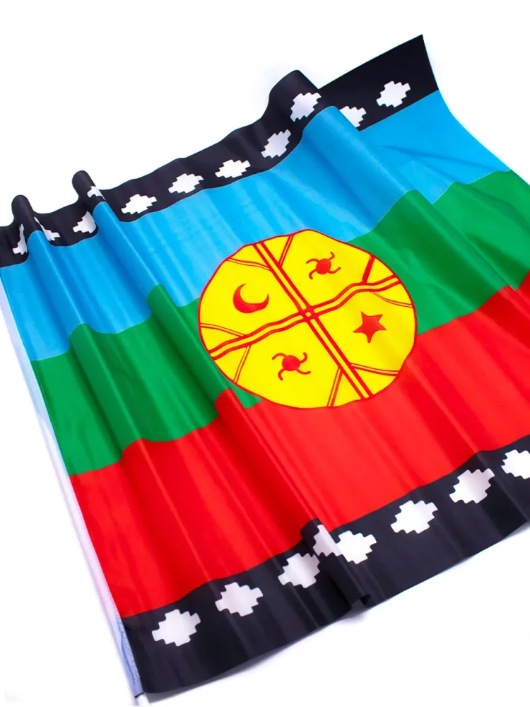 Bandera Mapuche Palito 90 X 60 Cm 12 Unidades