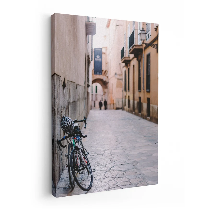 Bicicletas en la Calle Poster