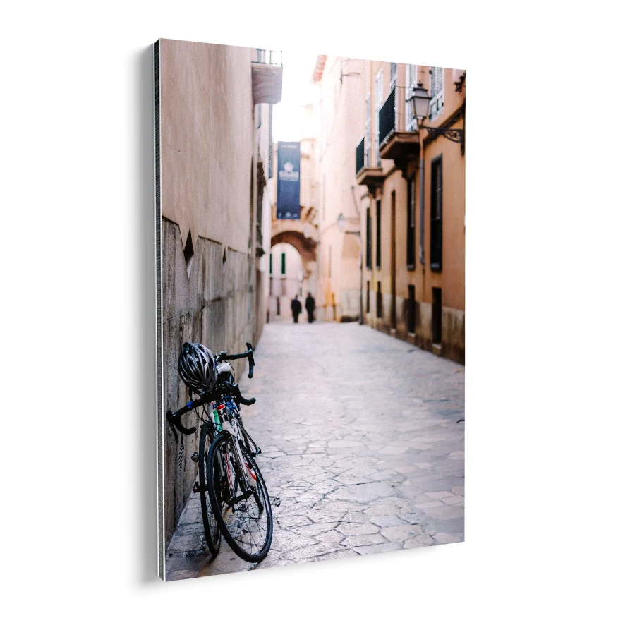 Bicicletas en la Calle Poster