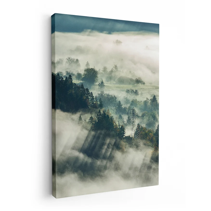 Bosque Natural con Neblina Poster